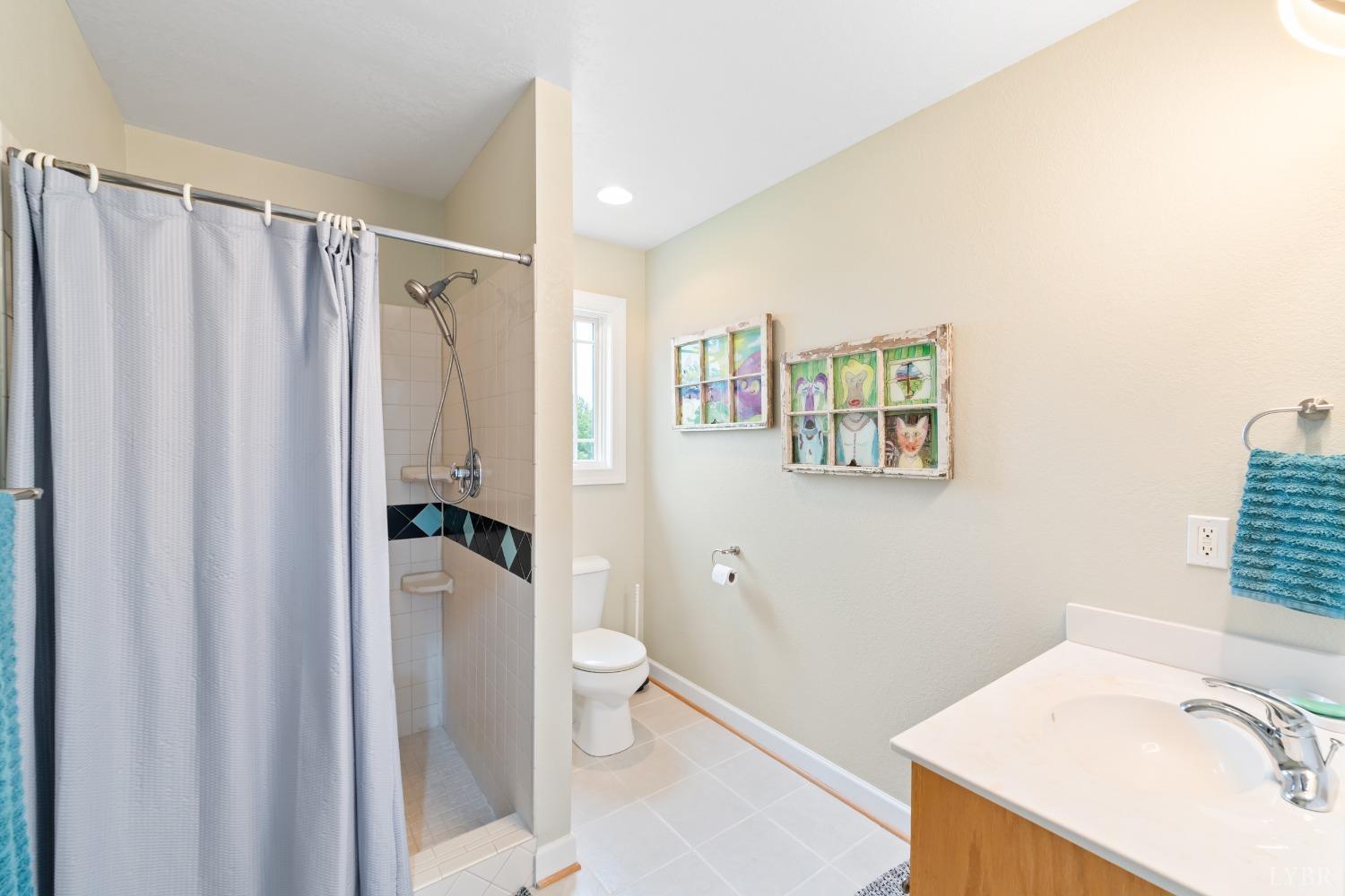 1136 Heavens View Drive, Forest, Virginia image 43