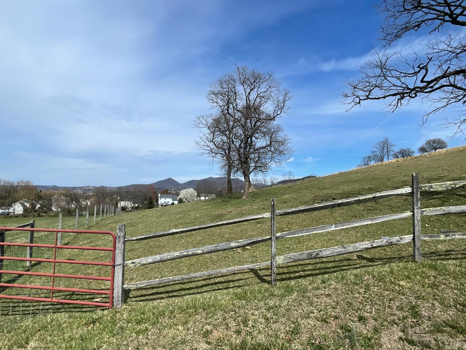 481 Richardson Drive, Roanoke, Virginia image 38