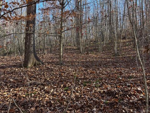 Tiny photo for 0 Oakville Road, Gladstone, VA 24553 (MLS # 363197)