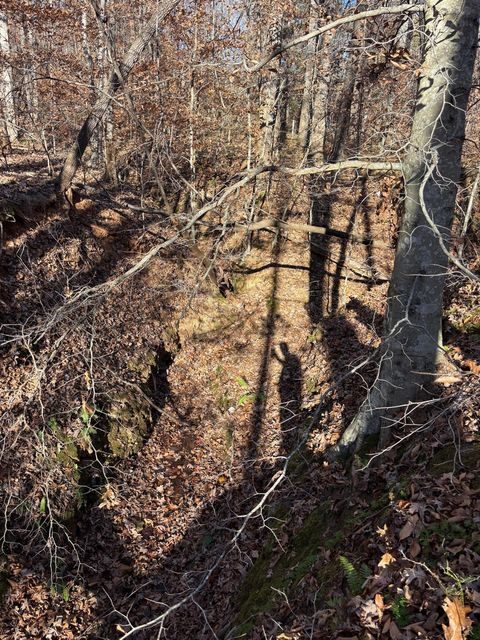 Tiny photo for 0 Oakville Road, Gladstone, VA 24553 (MLS # 363197)