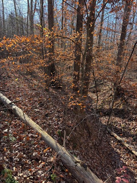 Tiny photo for 0 Oakville Road, Gladstone, VA 24553 (MLS # 363197)