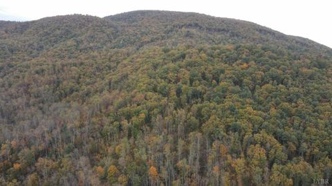 Tiny photo for 0 North Fork, Amherst, VA 24521 (MLS # 362799)