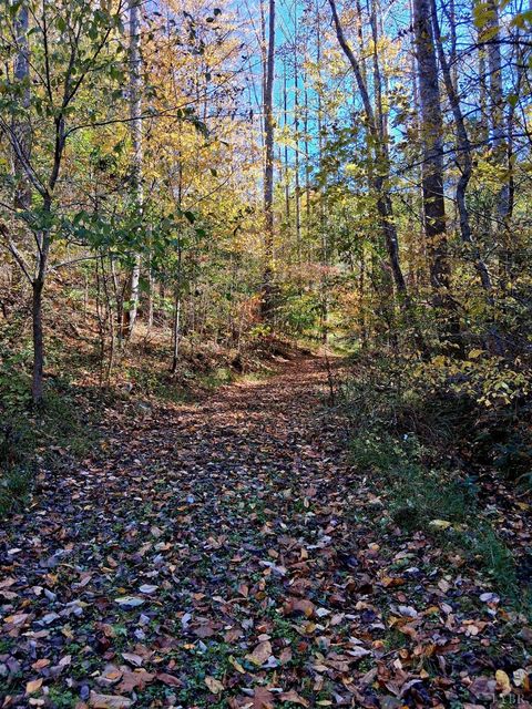 Tiny photo for 0 North Fork, Amherst, VA 24521 (MLS # 362799)