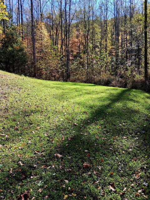 Tiny photo for 0 North Fork, Amherst, VA 24521 (MLS # 362799)