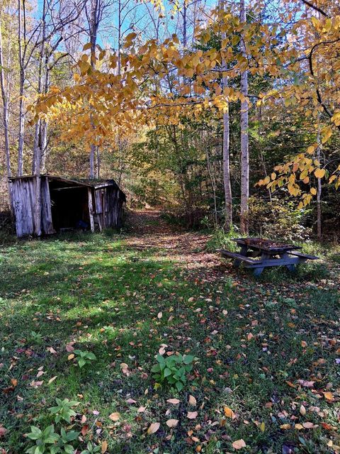Tiny photo for 0 North Fork, Amherst, VA 24521 (MLS # 362799)