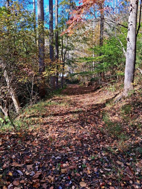 Tiny photo for 0 North Fork, Amherst, VA 24521 (MLS # 362799)