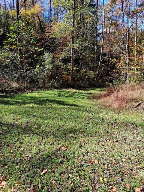 Tiny photo for 0 North Fork, Amherst, VA 24521 (MLS # 362799)