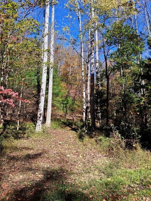 Tiny photo for 0 North Fork, Amherst, VA 24521 (MLS # 362799)