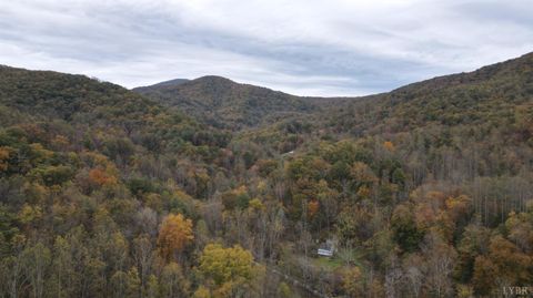 Tiny photo for 0 North Fork, Amherst, VA 24521 (MLS # 362799)