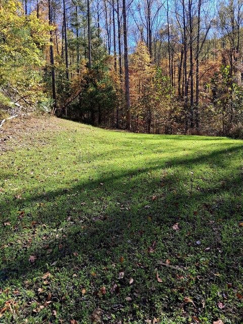 Tiny photo for 0 North Fork, Amherst, VA 24521 (MLS # 362799)
