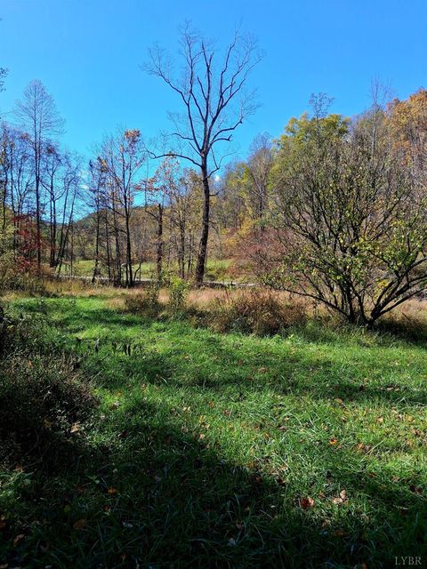 Tiny photo for 0 North Fork, Amherst, VA 24521 (MLS # 362799)