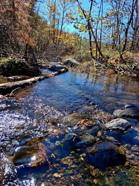 Photo of 0 North Fork, Amherst, VA 24521 (MLS # 362799)