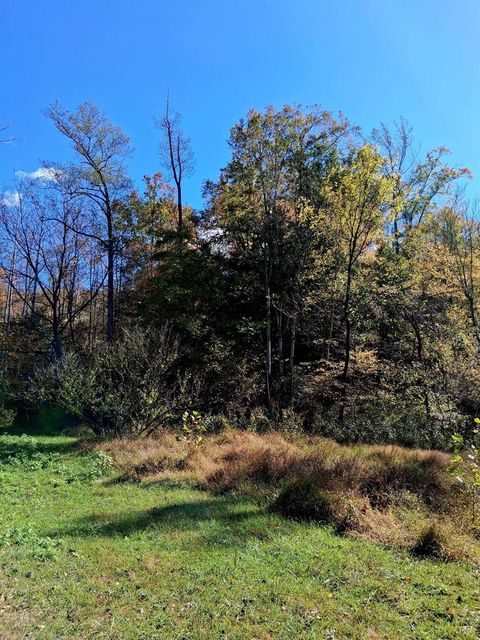 Tiny photo for 0 North Fork, Amherst, VA 24521 (MLS # 362799)