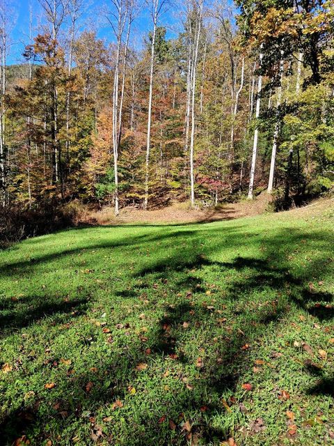 Tiny photo for 0 North Fork, Amherst, VA 24521 (MLS # 362799)