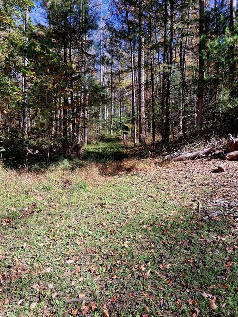Tiny photo for 0 North Fork, Amherst, VA 24521 (MLS # 362799)