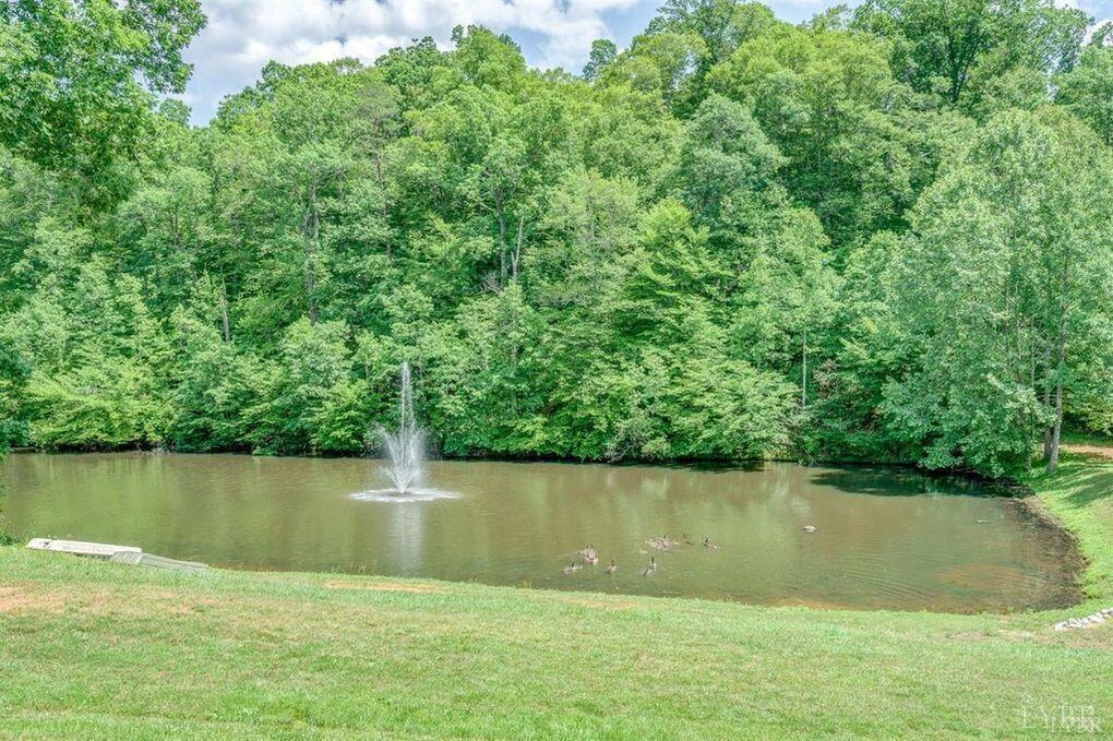 450 Holyfield Lane, Moneta, Virginia image 7