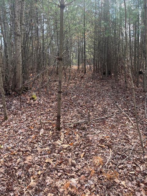 Vacant Land For Sale - Blue Ridge Lane<br/> Monroe, VA 24574