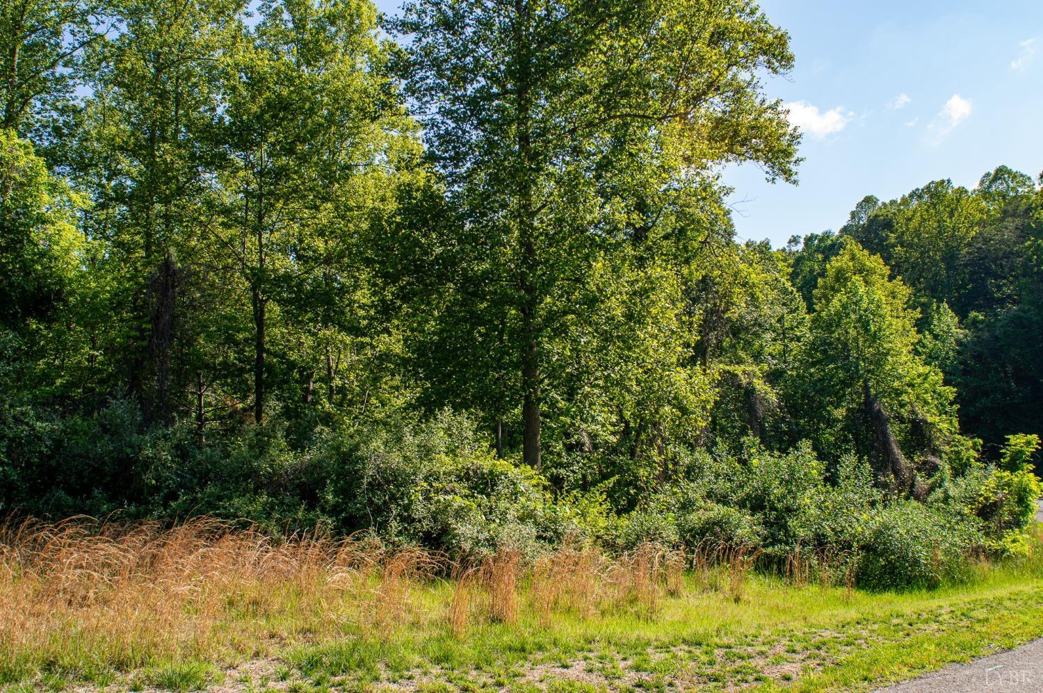 Watchtower Drive, Moneta, Virginia image 2