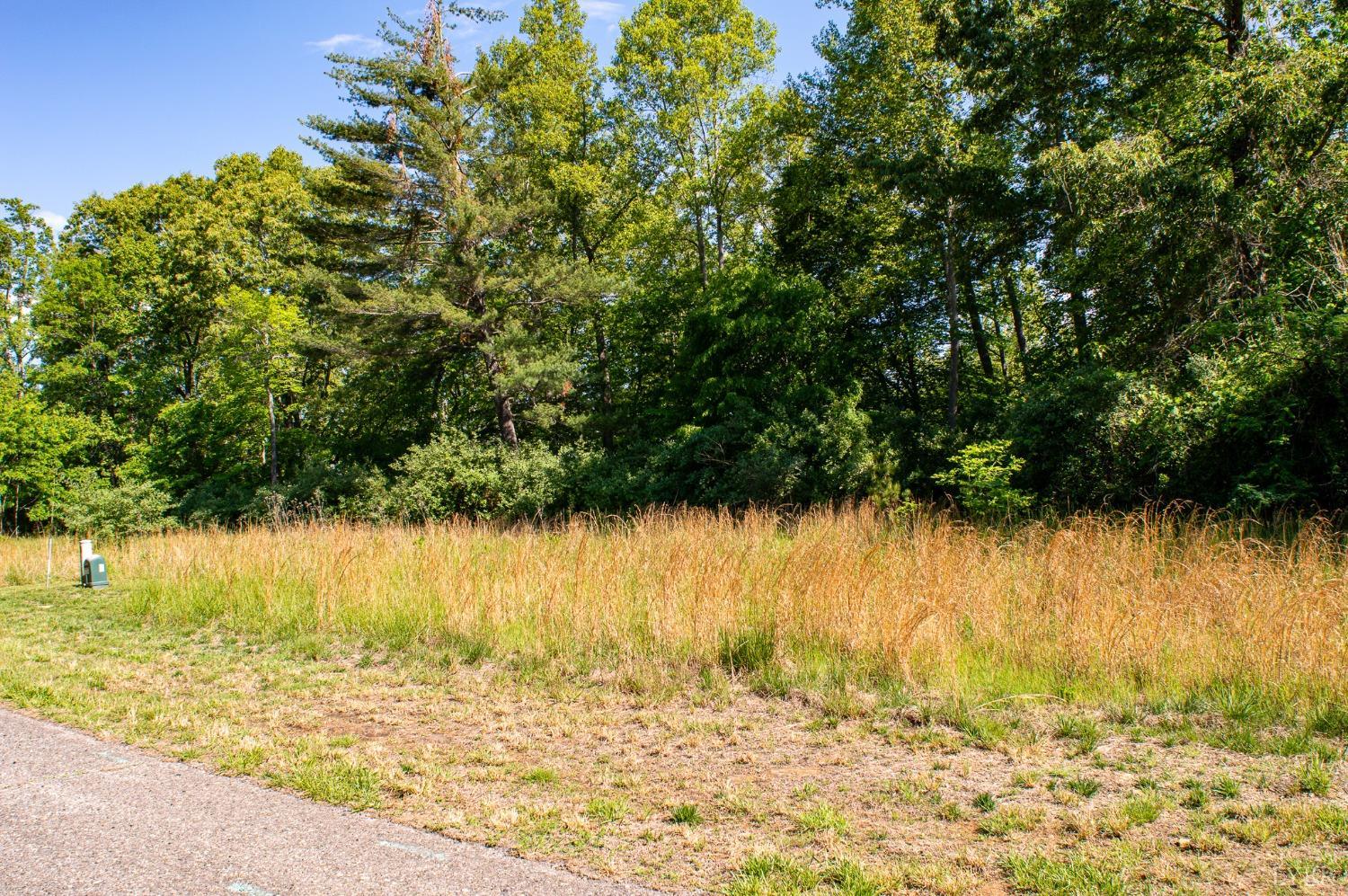 Watchtower Drive, Moneta, Virginia image 3