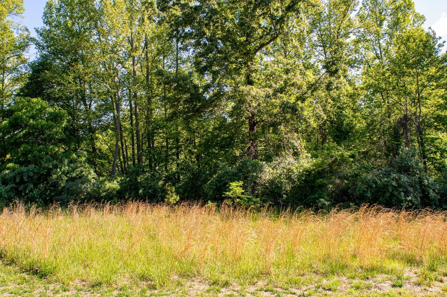 Watchtower Drive, Moneta, Virginia image 1