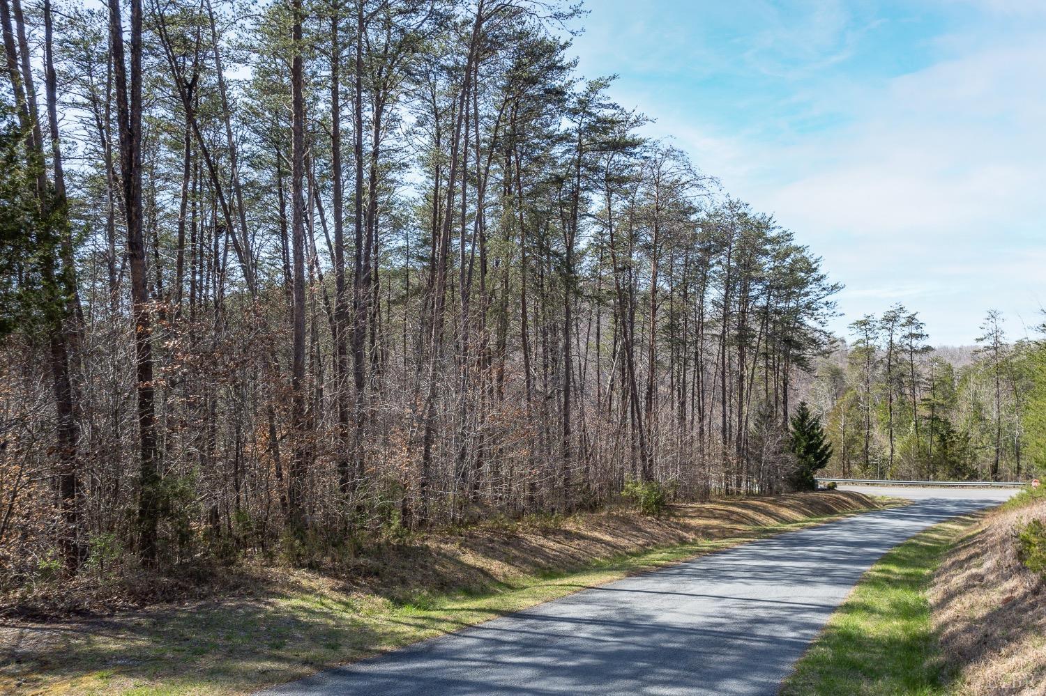 Inlet Drive, Wirtz, Virginia image 3