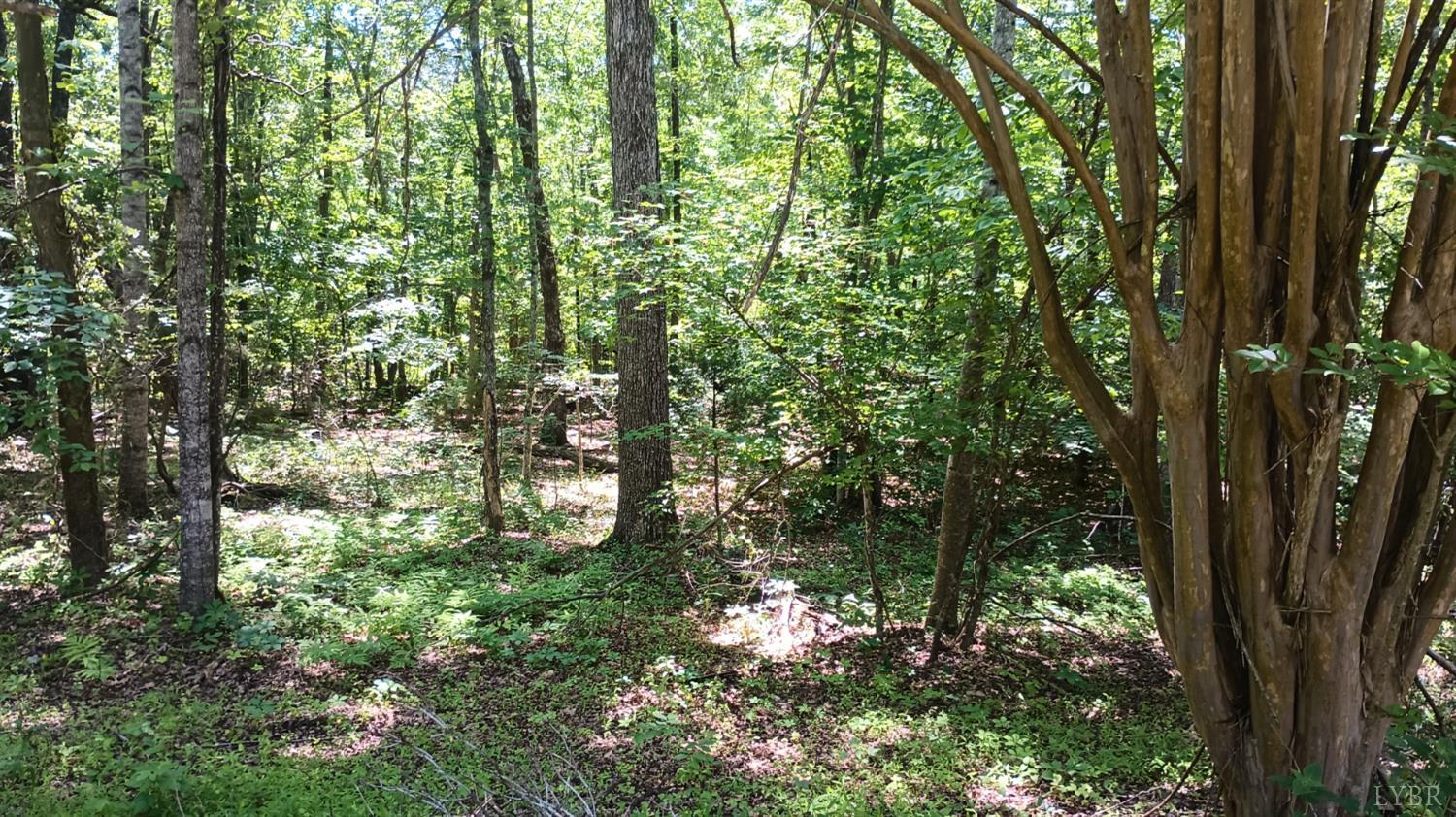 23 Lyons Hollow Holw, Schuyler, Virginia image 44