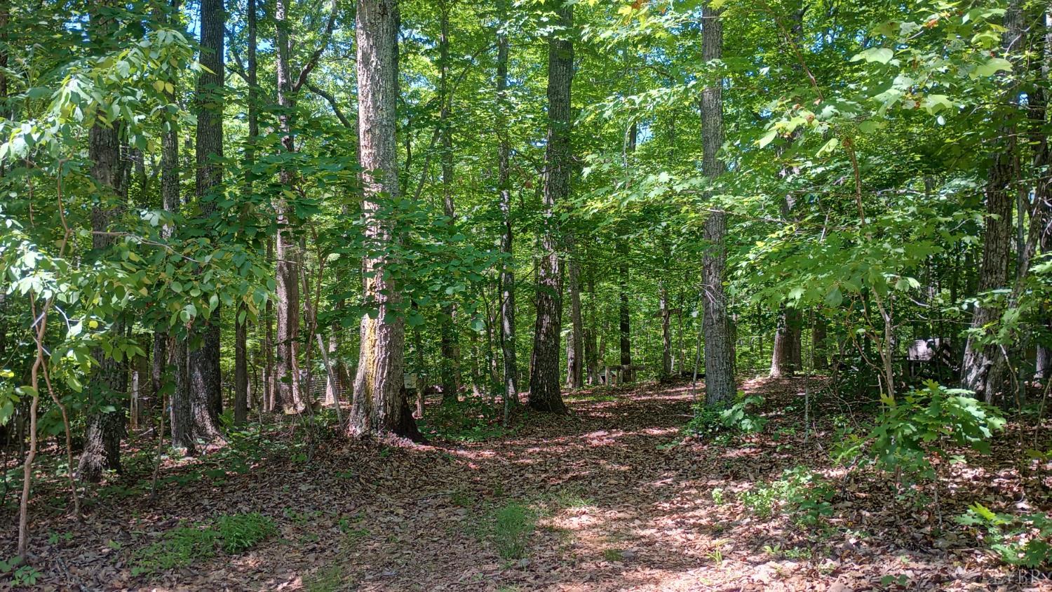 23 Lyons Hollow Holw, Schuyler, Virginia image 45