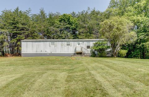 Tiny photo for 3122 Buffalo Run, Thaxton, VA 24174 (MLS # 361890)