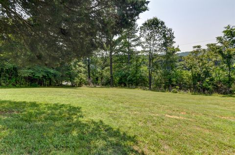 Tiny photo for 3122 Buffalo Run, Thaxton, VA 24174 (MLS # 361890)