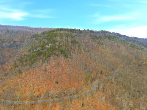 Tiny photo for 5130 Turnpike Road, Lexington, VA 24450 (MLS # 363681)