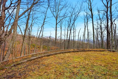 Tiny photo for 5130 Turnpike Road, Lexington, VA 24450 (MLS # 363681)