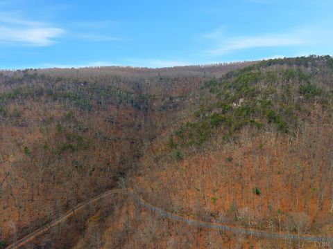 Tiny photo for 5130 Turnpike Road, Lexington, VA 24450 (MLS # 363681)