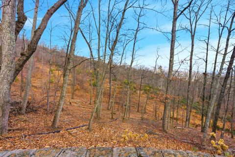 Tiny photo for 5130 Turnpike Road, Lexington, VA 24450 (MLS # 363681)