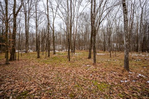 Tiny photo for 424 Cambridge Drive, Lynchburg, VA 24502 (MLS # 363564)