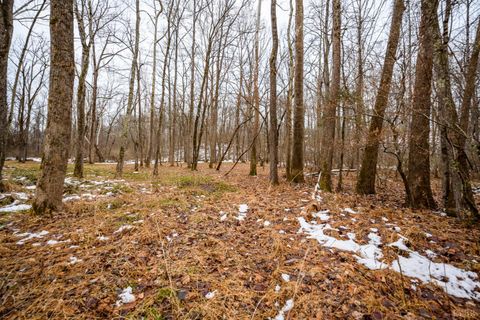 Tiny photo for 424 Cambridge Drive, Lynchburg, VA 24502 (MLS # 363564)