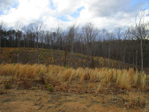 Tiny photo for 991 Kentmoor Farm Rd, Madison Heights, VA 24572 (MLS # 364884)