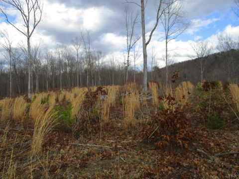 Tiny photo for 991 Kentmoor Farm Rd, Madison Heights, VA 24572 (MLS # 364884)