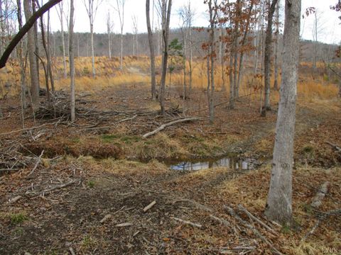 Tiny photo for 991 Kentmoor Farm Rd, Madison Heights, VA 24572 (MLS # 364884)