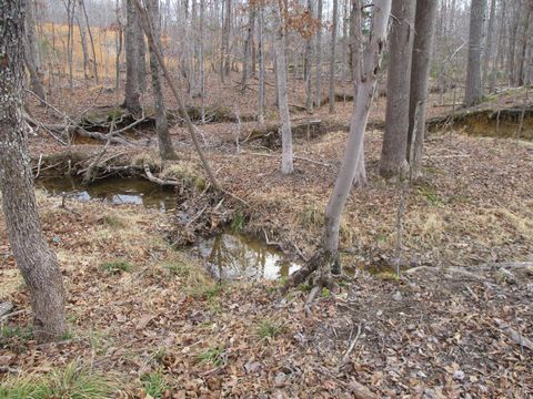 Tiny photo for 991 Kentmoor Farm Rd, Madison Heights, VA 24572 (MLS # 364884)