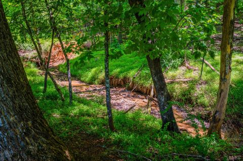 Tiny photo for 115 Meadowridge Drive, Lynchburg, VA 24503 (MLS # 366775)