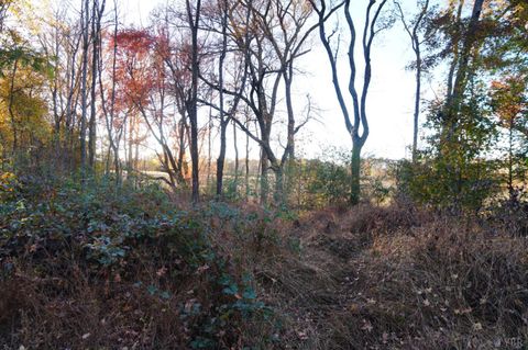 Tiny photo for 10188 Stage Coach Road, Gretna, VA 24557 (MLS # 362987)