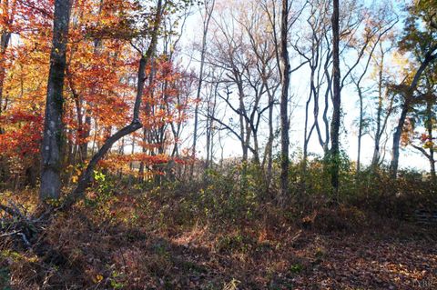Tiny photo for 10188 Stage Coach Road, Gretna, VA 24557 (MLS # 362987)