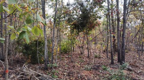 Tiny photo for 0 Happy Trails Lane, Appomattox, VA 24522 (MLS # 364669)