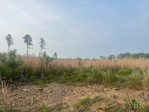 Rosewood Lane, New Canton, Virginia image 3