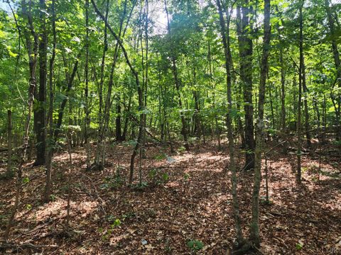 Tiny photo for 0 Red House Road, Appomattox, VA 24522 (MLS # 361641)