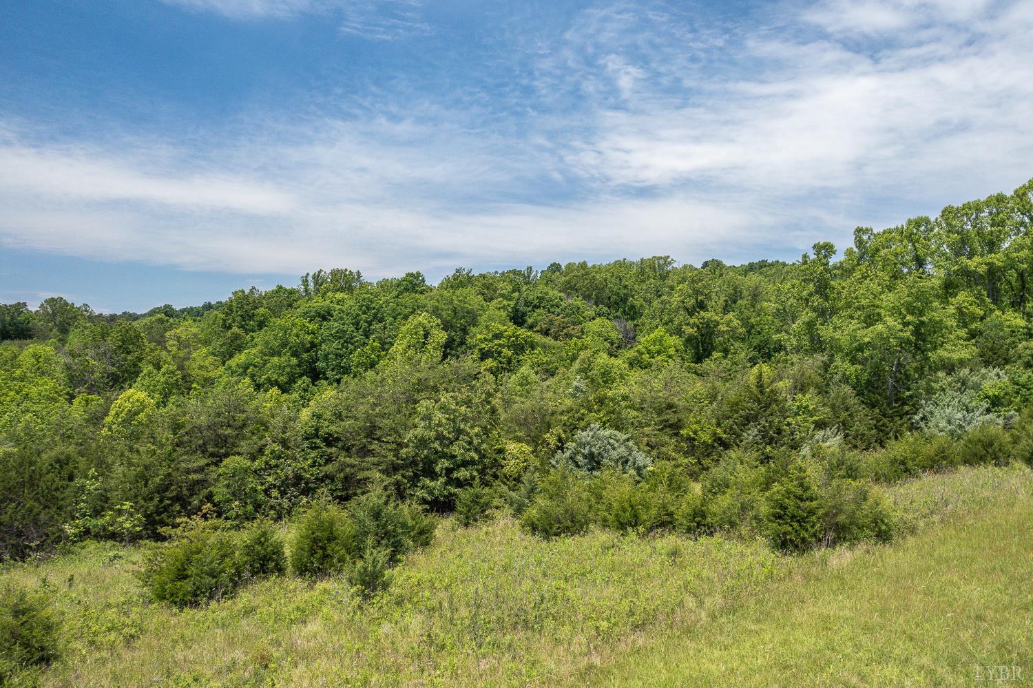 Meadow Grove Drive, Lexington, Virginia image 14