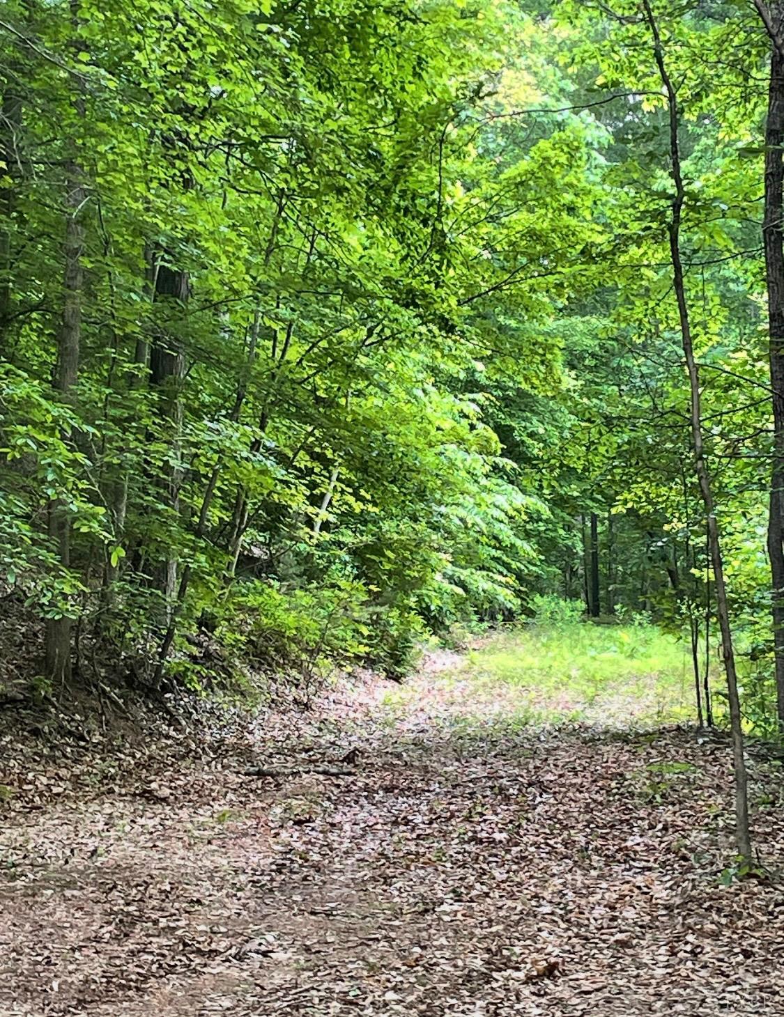 Christian Mill Creek Rd., Amherst, Virginia image 5