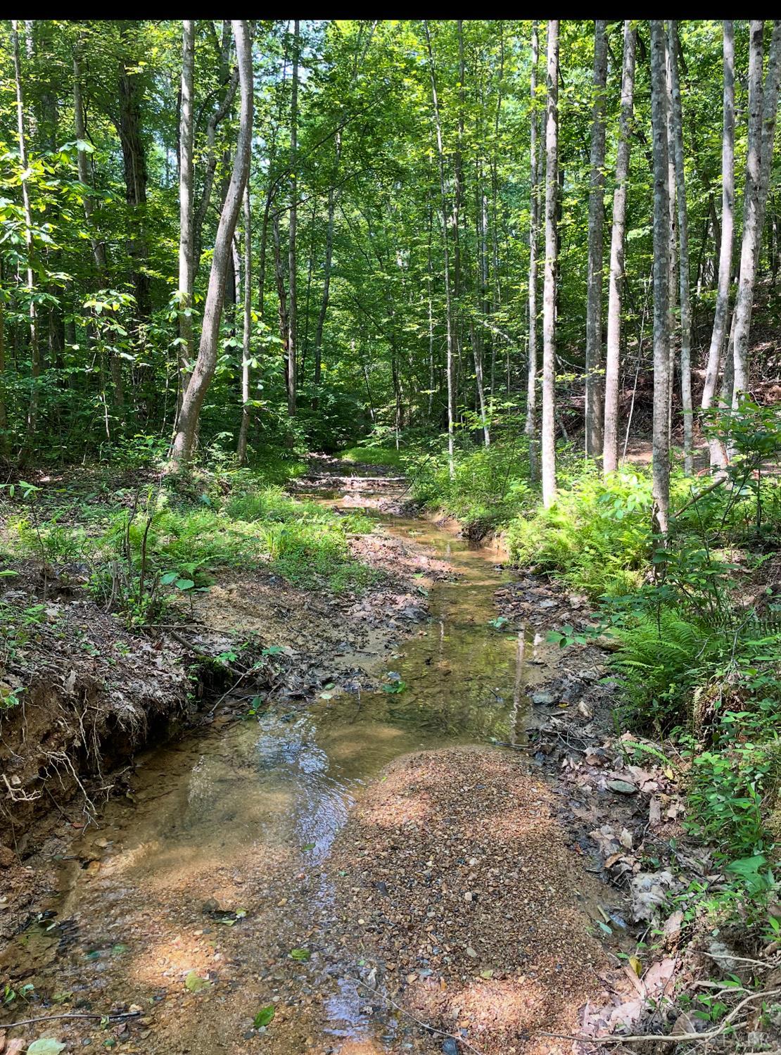 Christian Mill Creek Rd., Amherst, Virginia image 1