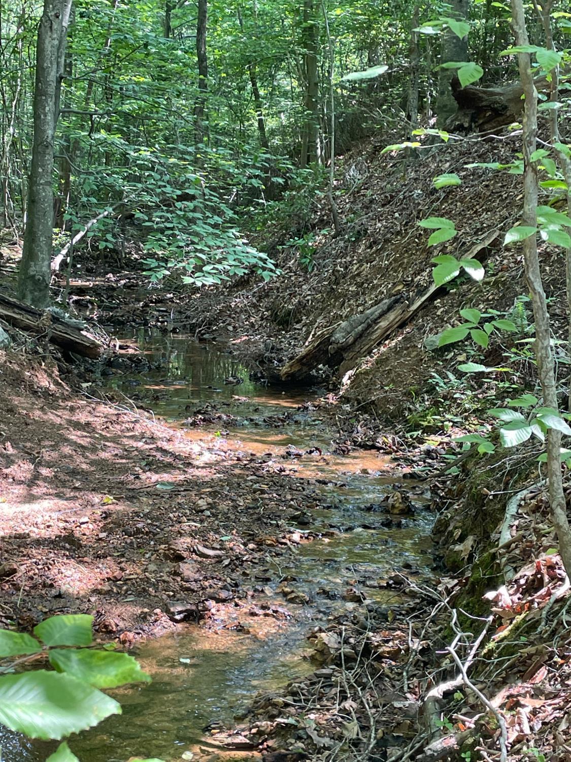Christian Mill Creek Rd., Amherst, Virginia image 3