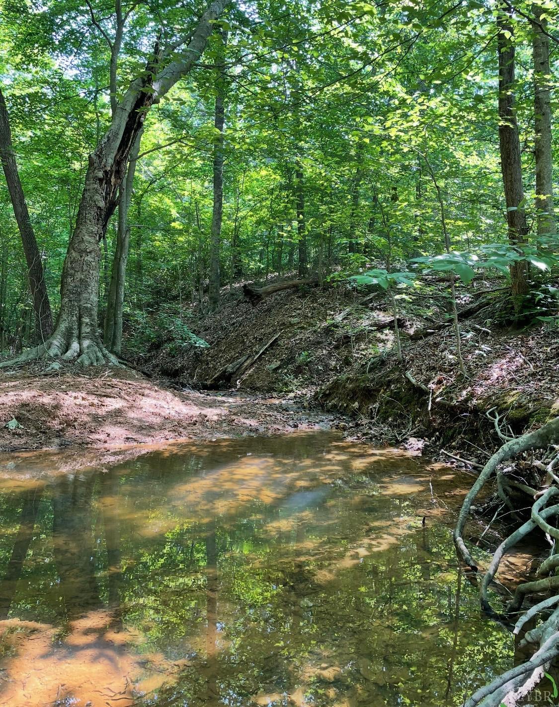 Christian Mill Creek Rd., Amherst, Virginia image 8